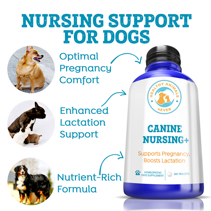 HEALTHY ANIMALS 4EVER - NURSING SUPPORT FOR DOGS