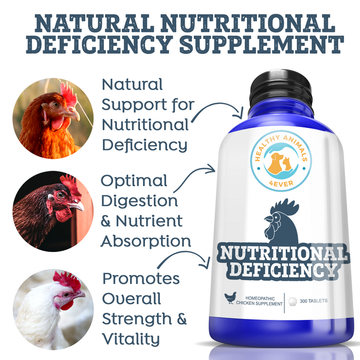 HEALTHYANIMALS4EVER ALL-NATURAL CHICKEN NUTRITIONAL DEFICIENCY SUPPLEMENT Six Pack- Save 50%