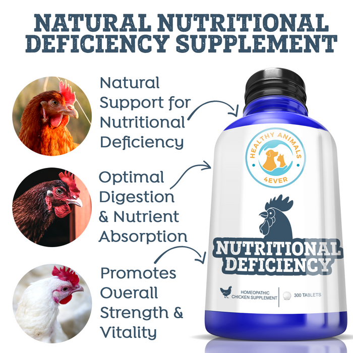 Chicken Nutritional Deficiencies photo