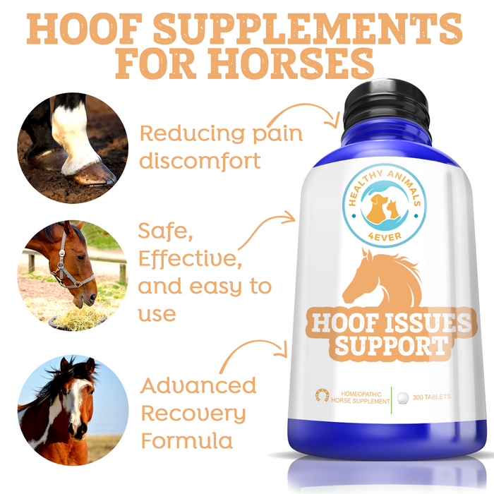 HORSE HOOF SUPPORT