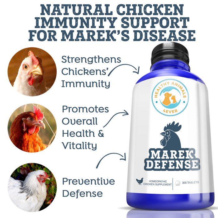 HEALTHYANIMALS4EVER ALL-NATURAL CHICKEN IMMUNITY SUPPORT FOR MAREK’S DISEASE Six Pack- Save 50%