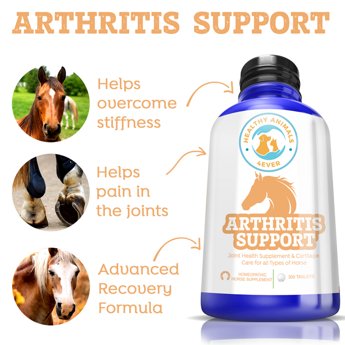 HORSE ARTHRITIS PRODUCT