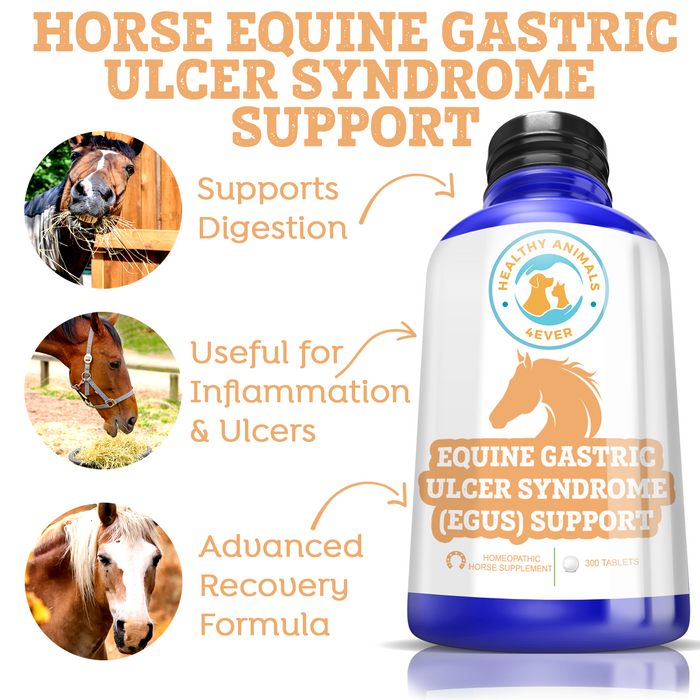 HORSE EQUINE GASTRIC ULCER SYNDROME SUPPORT
