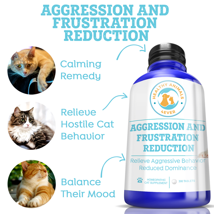 Aggression and Frustration Reduction - Cats Six Pack- Save 50%
