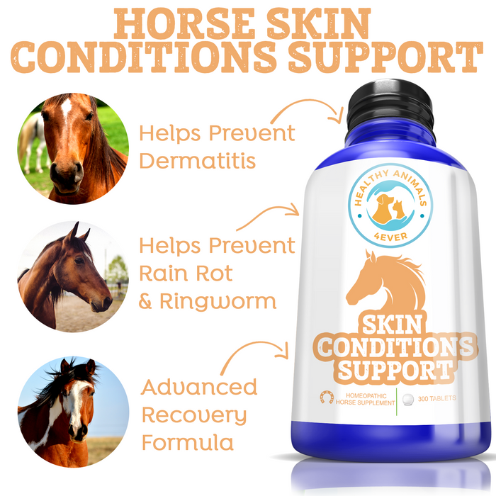 HORSE SKIN CONDITIONS SUPPORT Six Pack- Save 50%
