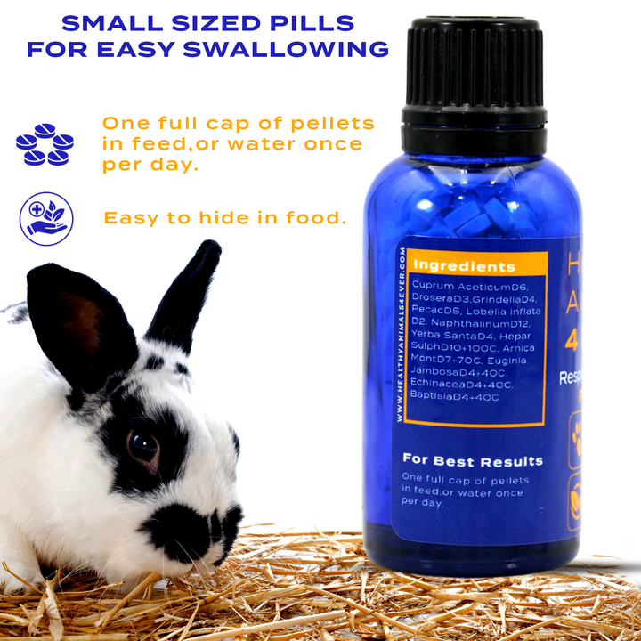 Respiratory Infection Remedy for Rabbits  Triple Pack- Save 30%