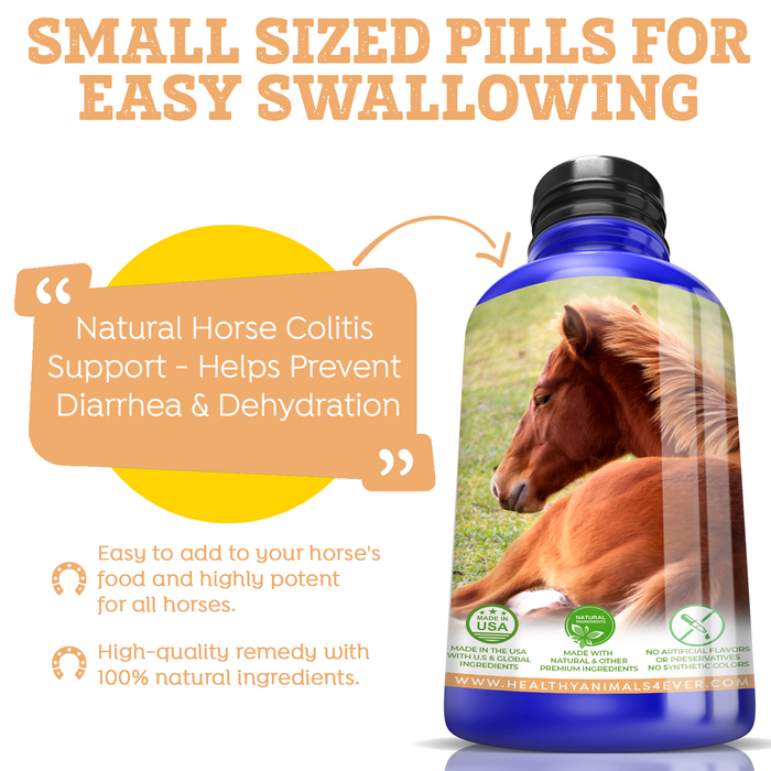 HORSE COLITIS SUPPORT Six Pack- Save 50%