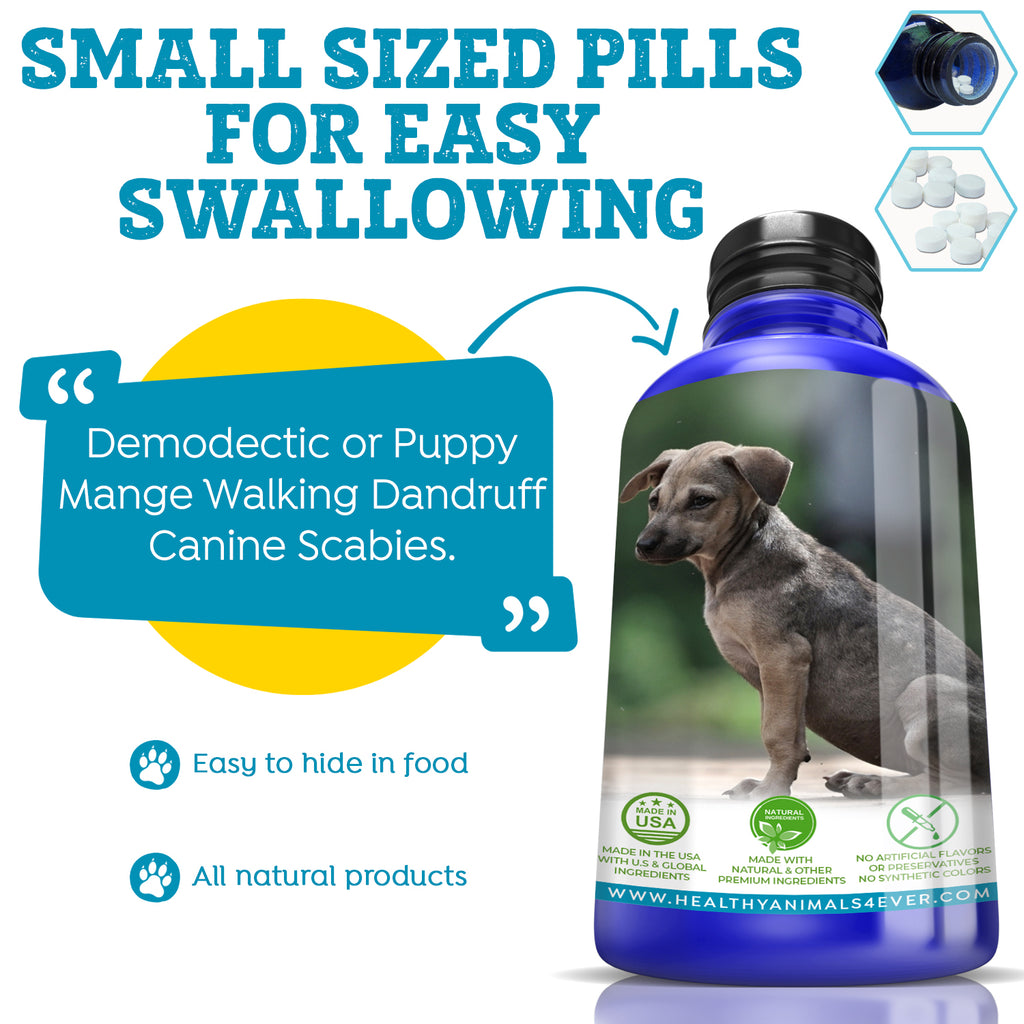 Mange Relief for Dogs - Treatment for Itchiness, Scabs, & Hair Loss Caused by Mites