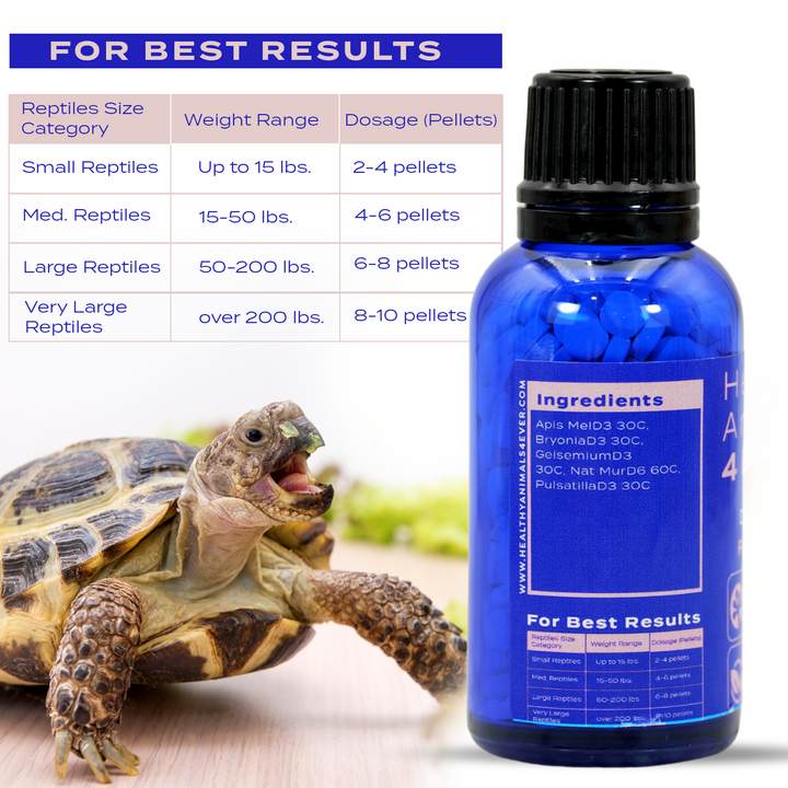 Hydration Boost for Reptiles: Natural Formula for Optimal Moisture Balance