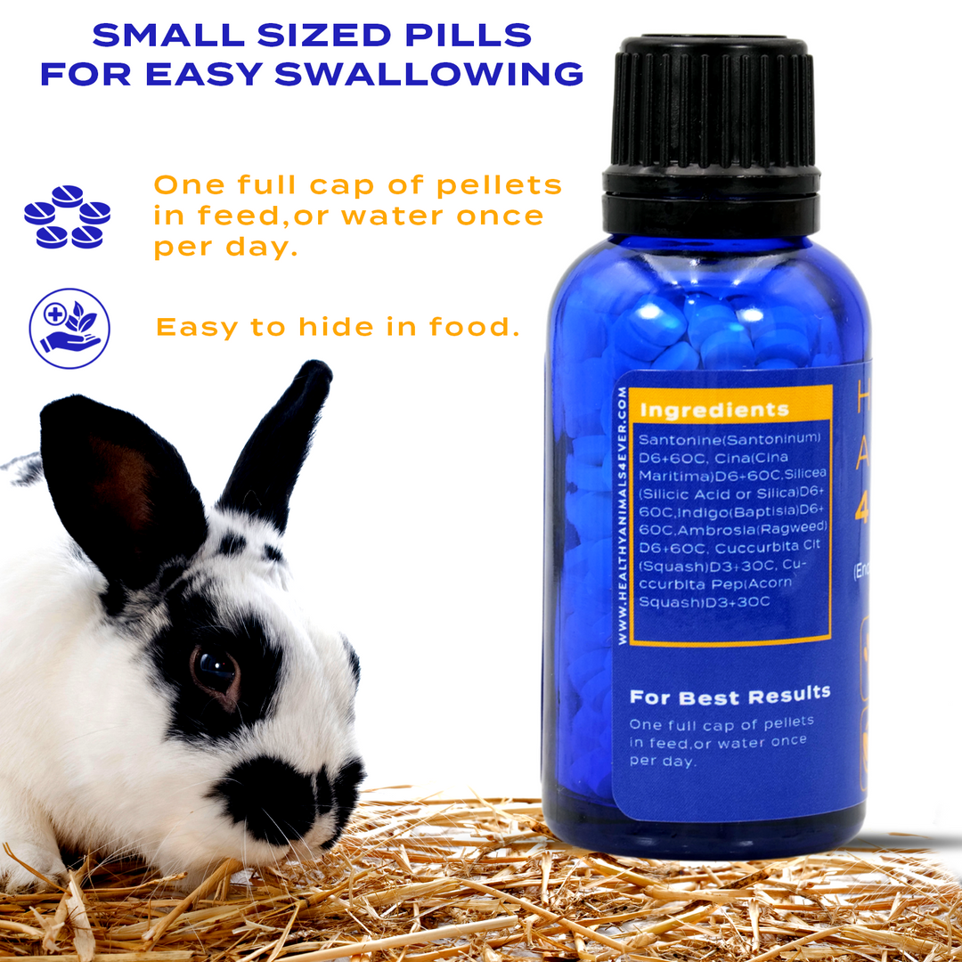 E. cuniculi (Encephalitozoon cuniculi) Remedy for Rabbits Six Pack- Save 50%