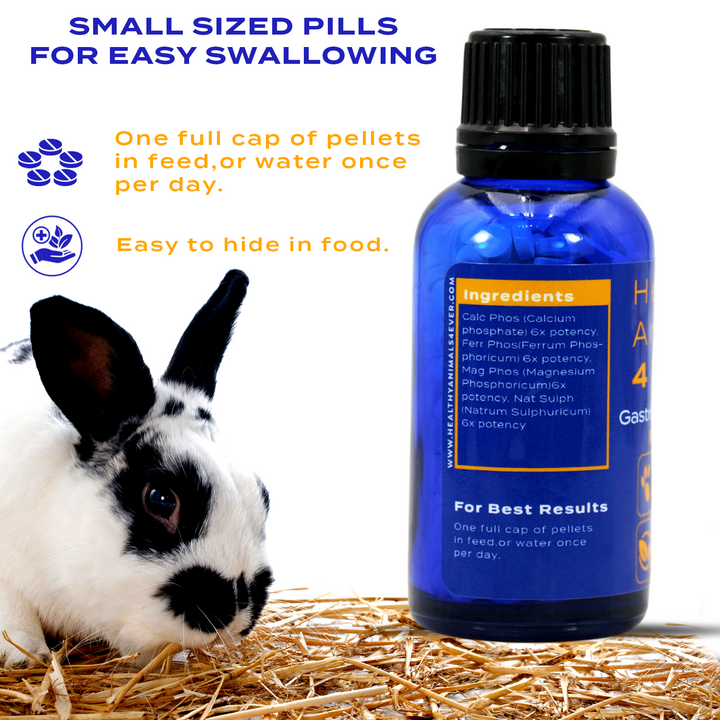 Gastrointestinal Stasis Relief for Rabbits Six Pack- Save 50%