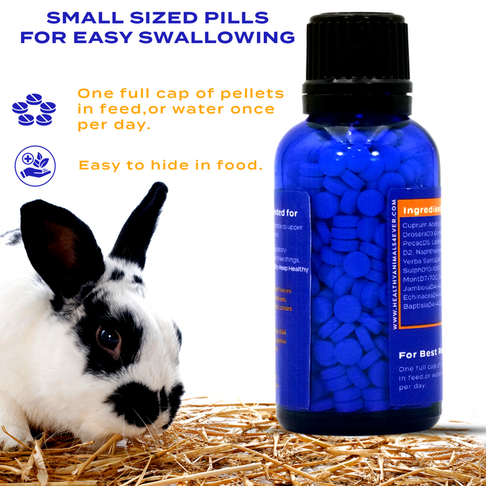 Respiratory Infection Remedy for Rabbits