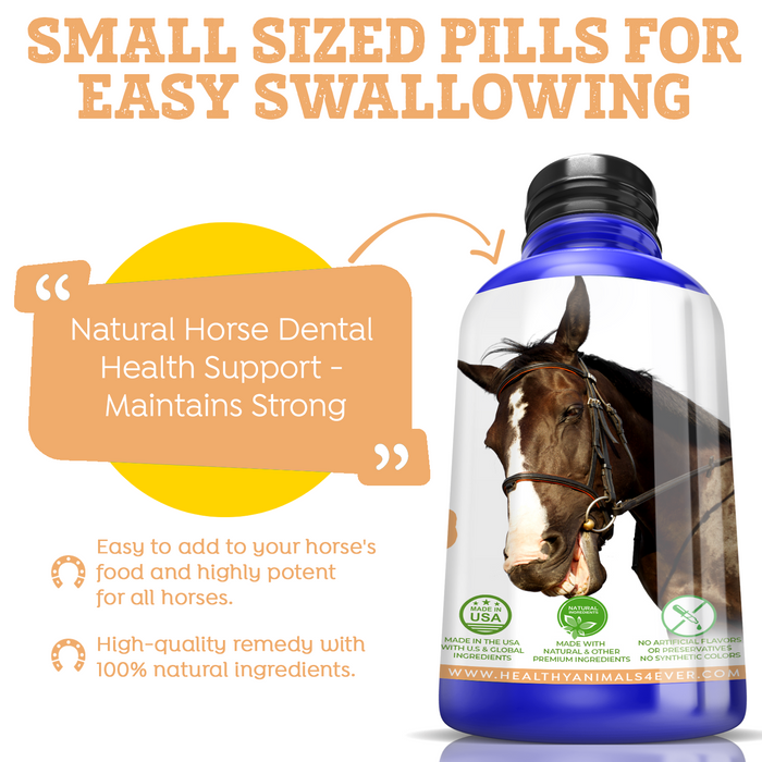 Horse Dental Issues Support Six Pack- Save 50%