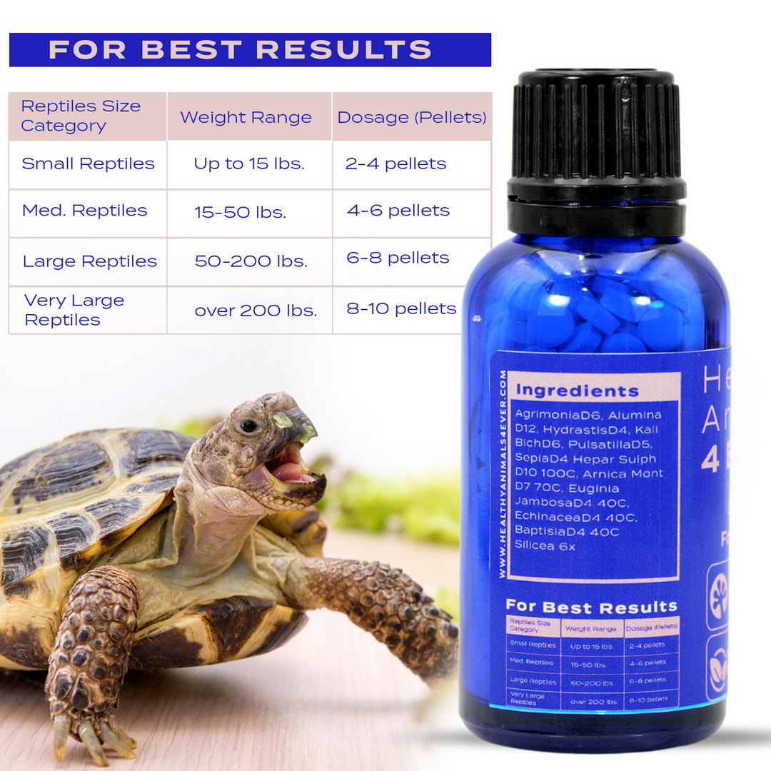 Reptile Shell Care Six Pack- Save 50%