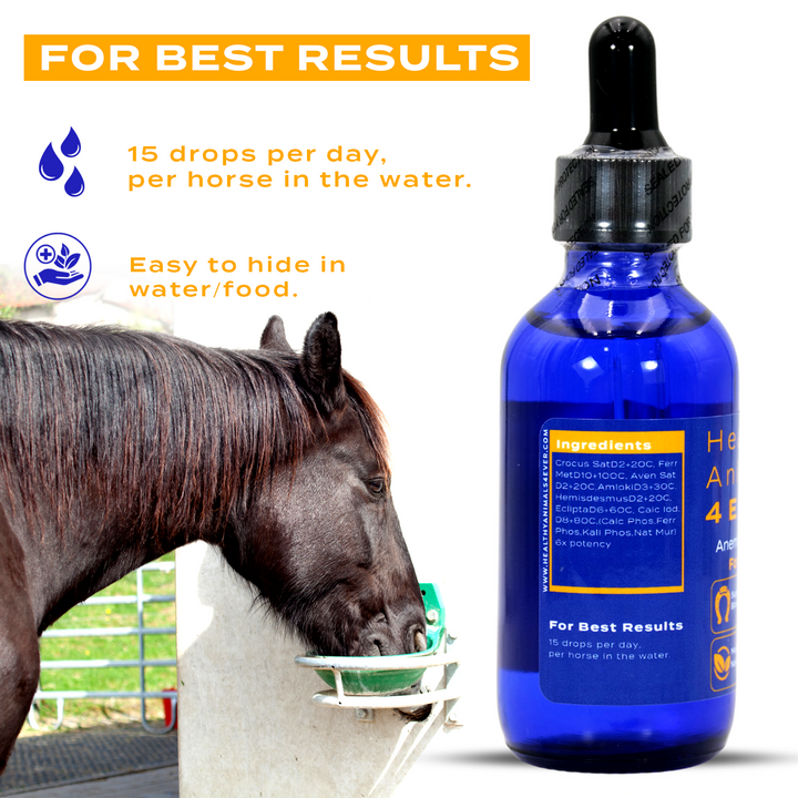 HORSE ANEMIA SUPPORT (Liquid)Six Pack- Save 50%