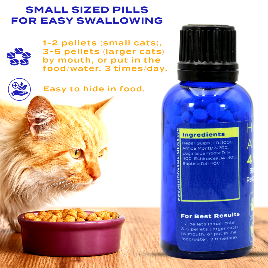 Better Breathing Respiratory Support Formula for Cats,   Triple Pack- Save 30%