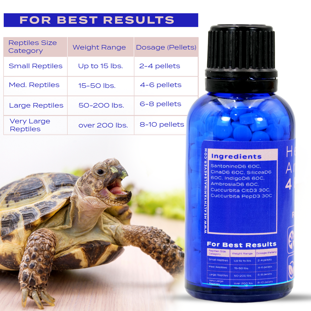 Reptile Protection Formula - Defends Against Harmful Invaders