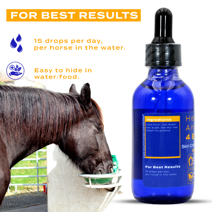 HORSE SKIN CONDITIONS SUPPORT (Liquid)Triple Pack- Save 30%