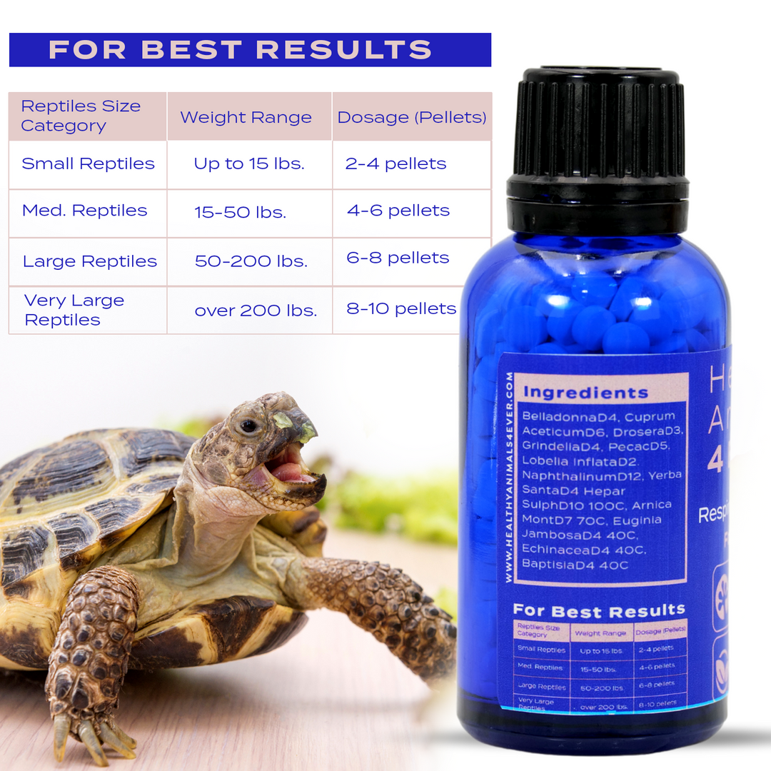 Natural Reptile Respiratory Support