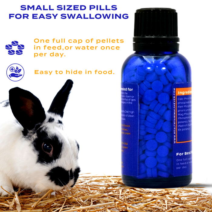 Gastrointestinal Stasis Relief for Rabbits