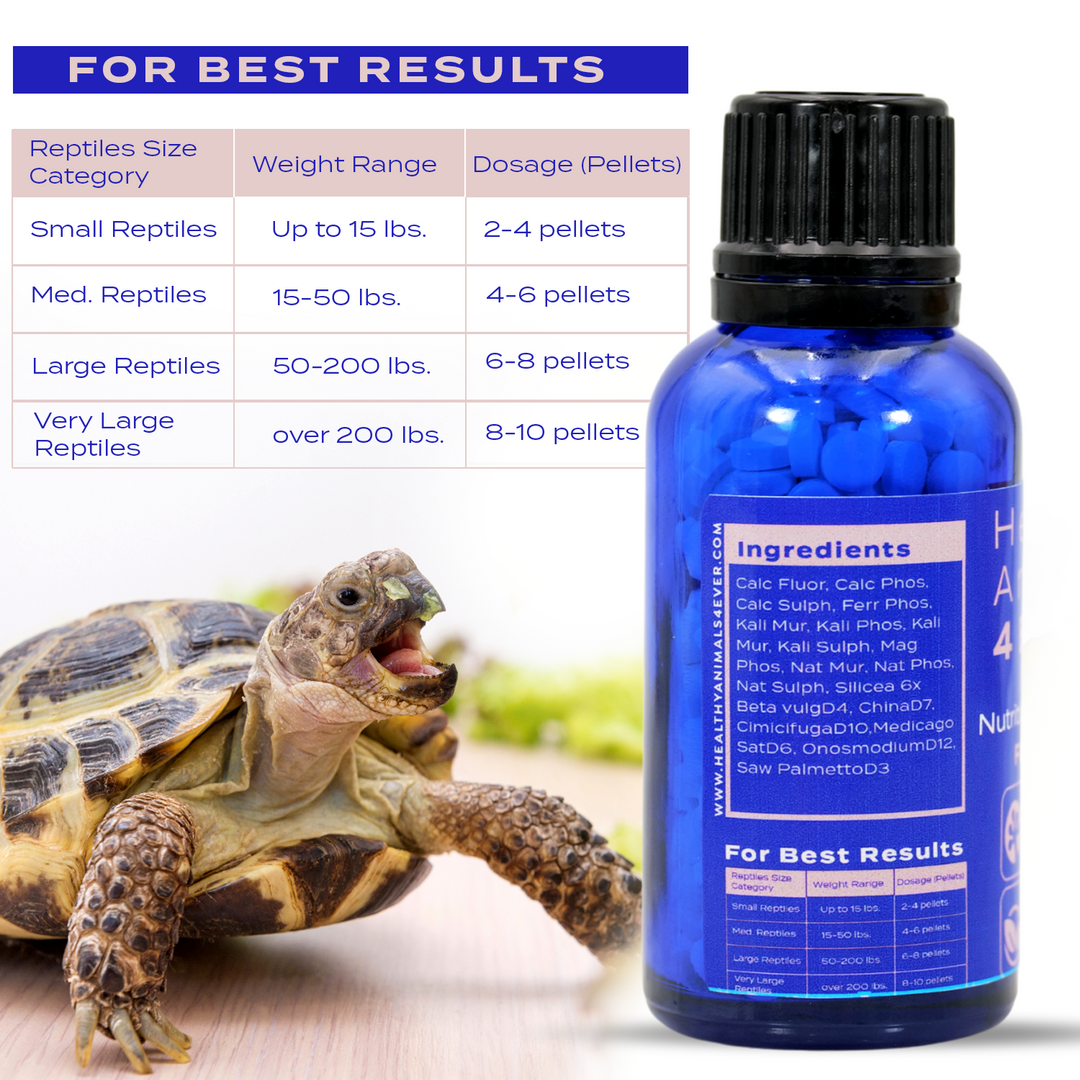 Reptile Nutrient Replenish: Comprehensive Mineral and Vitamin Support Six Pack- Save 50%