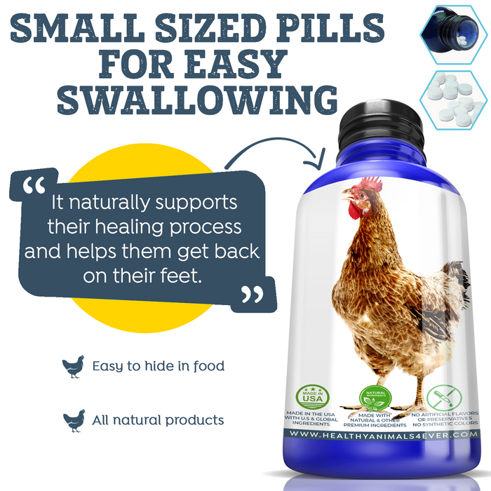 HEALTHYANIMALS4EVER ALL-NATURAL CHICKEN INJURY SUPPORT  Six Pack- Save 50%