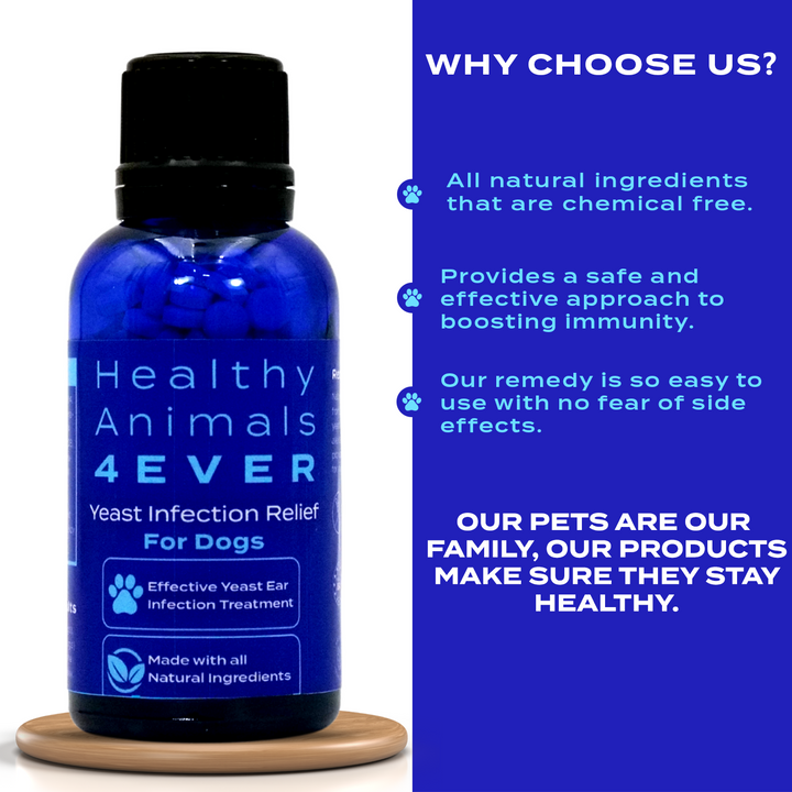 Yeast Infection Relief for Dogs Six Pack- Save 50%