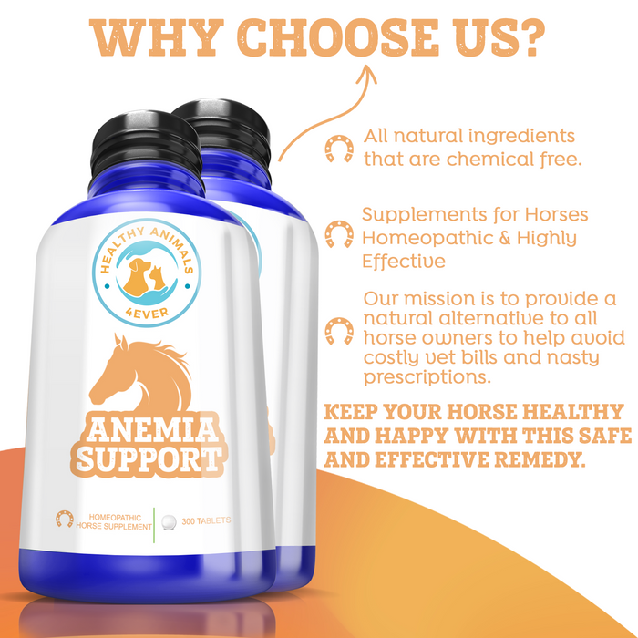 HORSE ANEMIA SUPPORT Triple Pack- Save 30%
