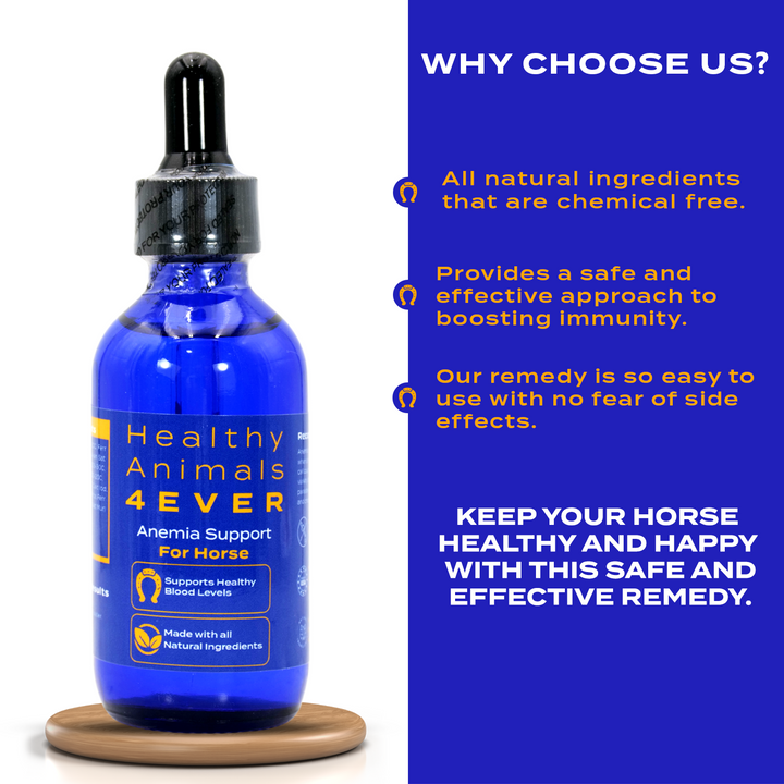 HORSE ANEMIA SUPPORT (Liquid) Triple Pack- Save 30%