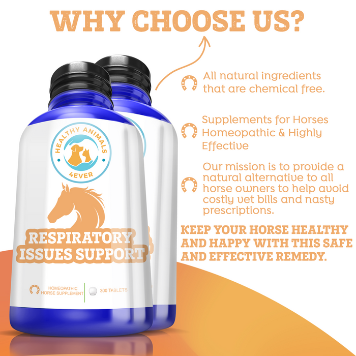 HORSE RESPIRATORY ISSUES SUPPORT Six Pack- Save 50%
