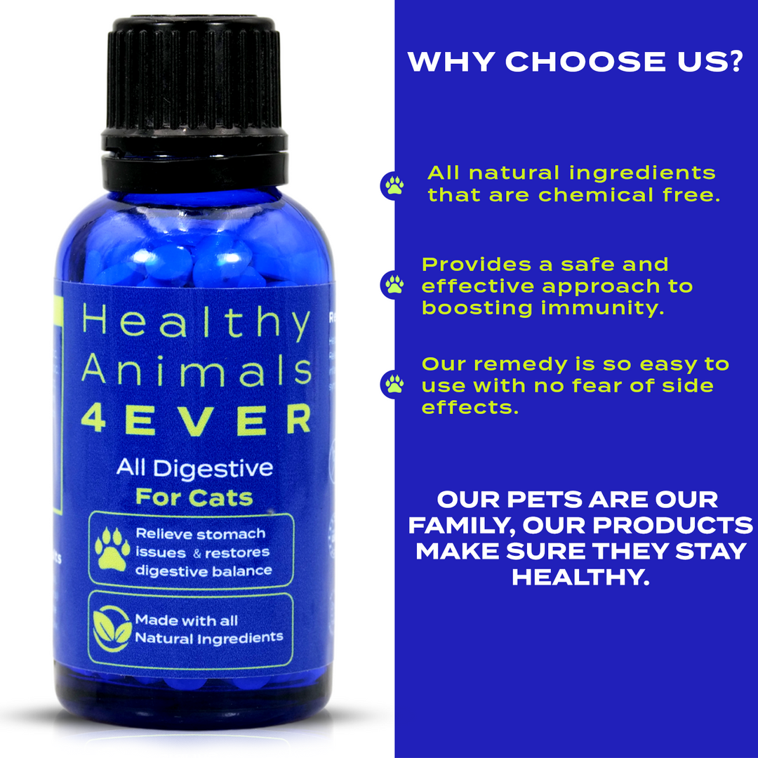 All Digestive - Cats Triple Pack- Save 30%