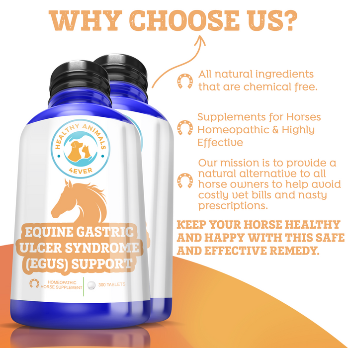 HORSE EQUINE GASTRIC ULCER SYNDROME SUPPORT