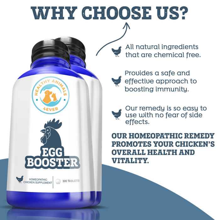 HEALTHYANIMALS4EVER ALL-NATURAL CHICKEN EGG BOOSTER