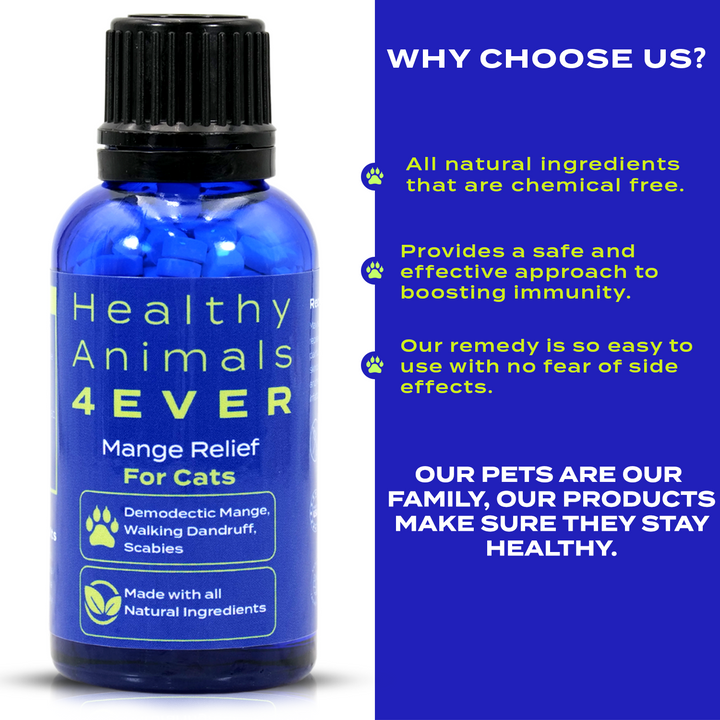 Mange Remedy for Cats - Natural Support for Itchiness, Scabs, & Hair Loss Caused by Mites