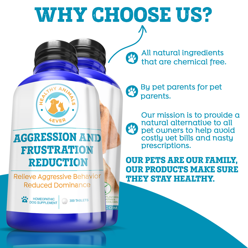 Aggression and Frustration Reduction - Dogs