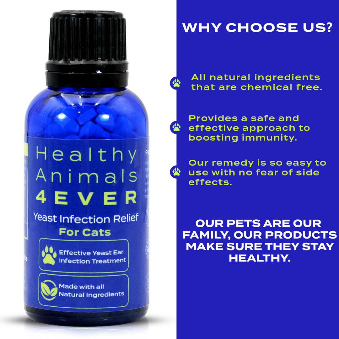 Yeast Infection Relief for Cats