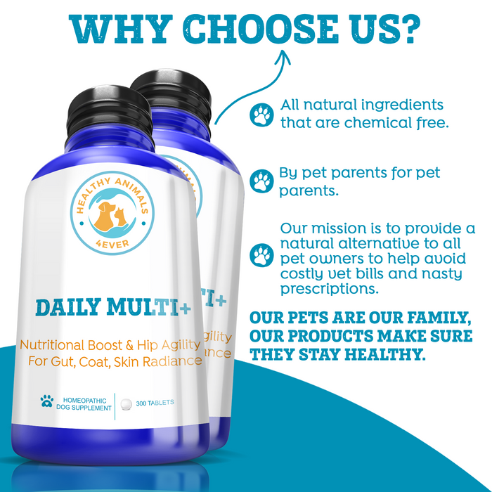 HEALTHY ANIMALS 4EVER - DAILY MULTI FOR DOGS