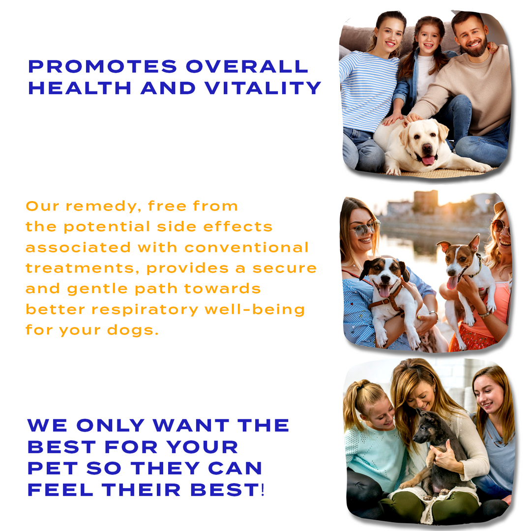 Yeast Infection Relief for Dogs