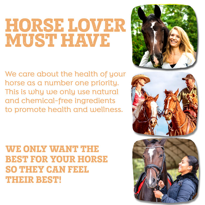 HORSE EYE HEALTH SUPPORT