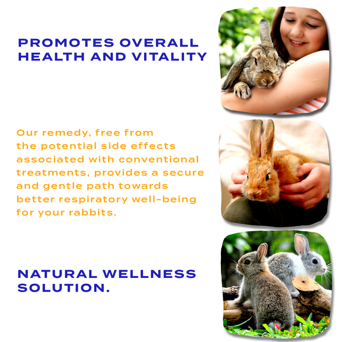 Respiratory Infection Remedy for Rabbits