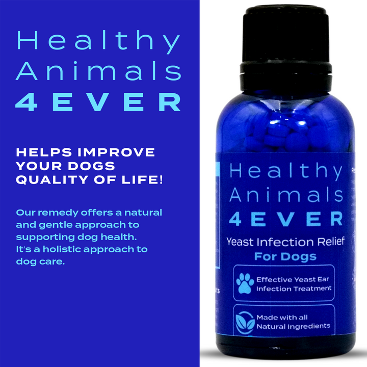 Yeast Infection Relief for Dogs Six Pack- Save 50%