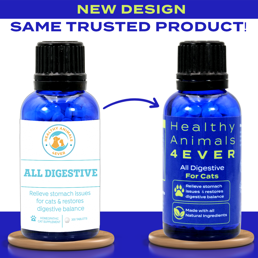 All Digestive - Cats Triple Pack- Save 30%