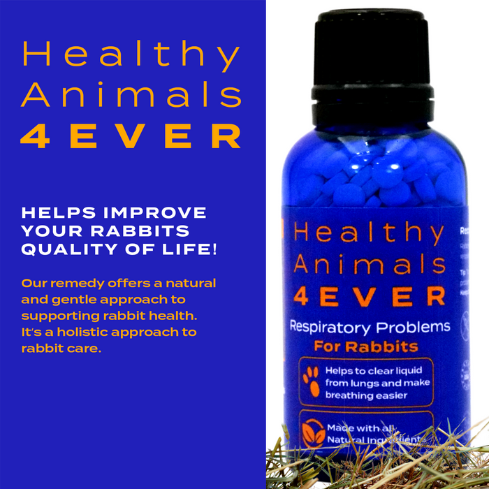 Respiratory Infection Remedy for Rabbits