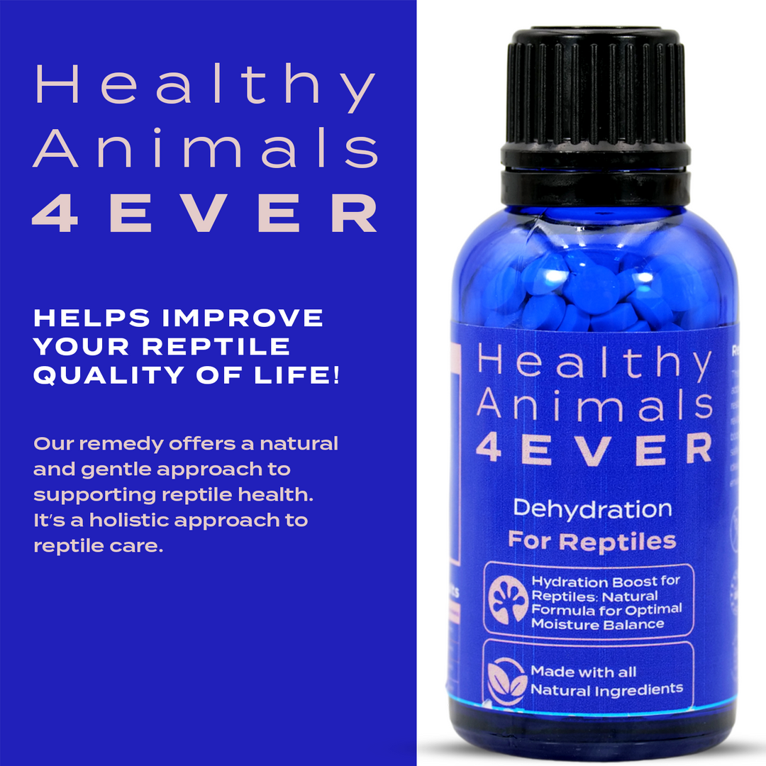 Hydration Boost for Reptiles: Natural Formula for Optimal Moisture Balance