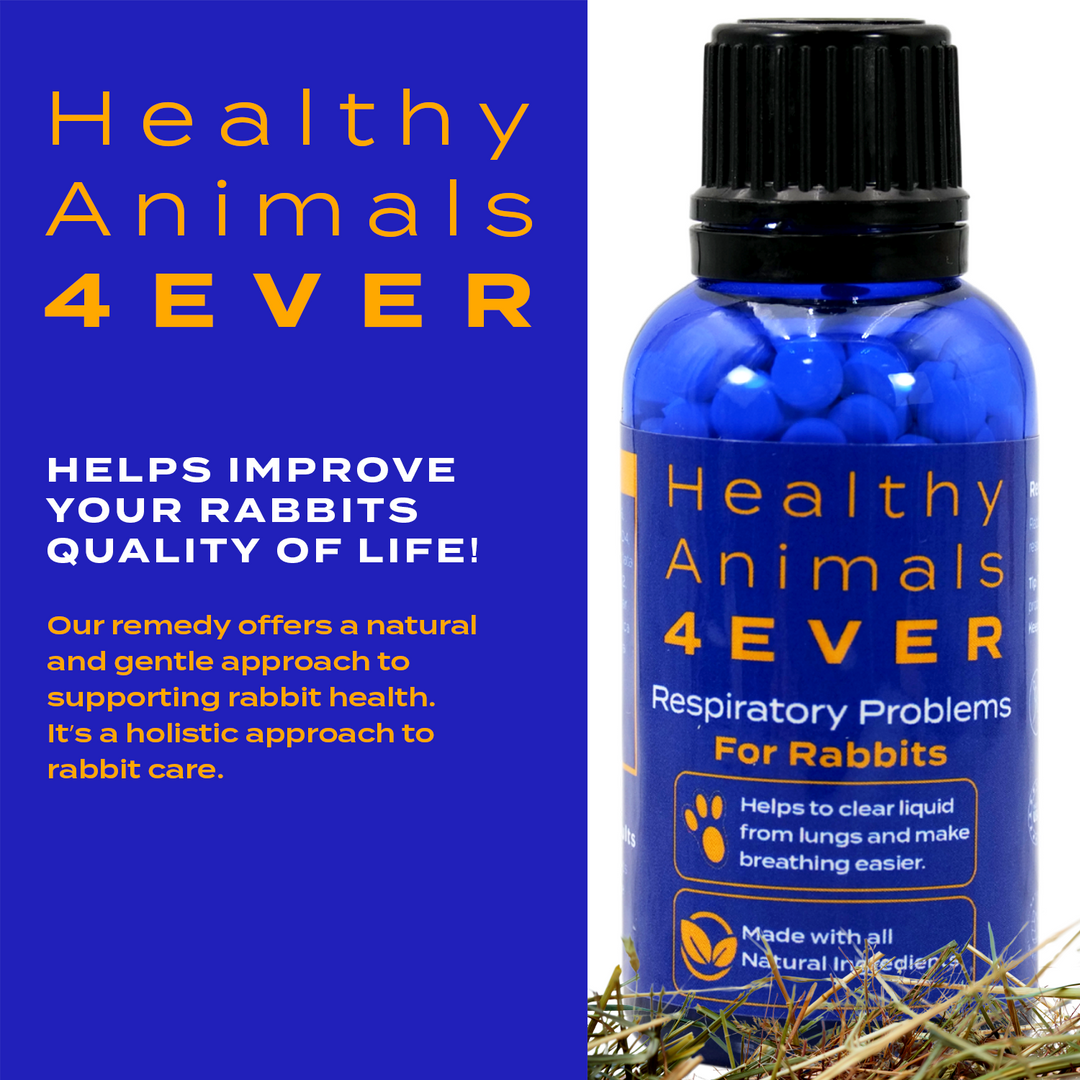 Respiratory Infection Remedy for Rabbits  Triple Pack- Save 30%