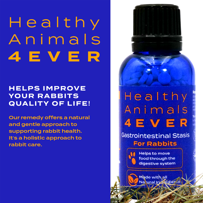 Gastrointestinal Stasis Relief for Rabbits