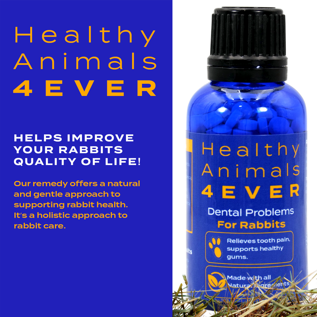 Dental Problems Remedy for Rabbits  Triple Pack- Save 30%