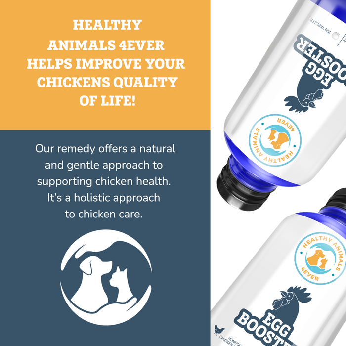 HEALTHYANIMALS4EVER ALL-NATURAL CHICKEN EGG BOOSTER Six Pack- Save 50%