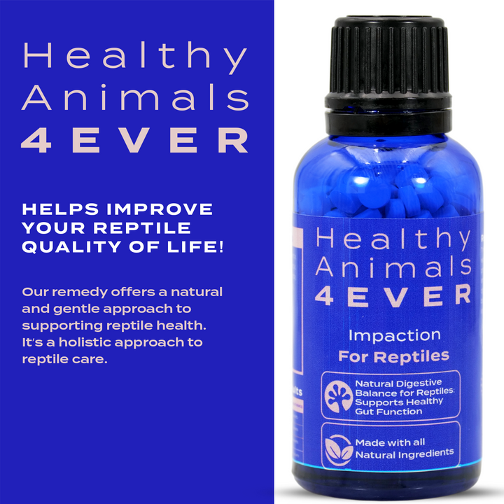 Natural Digestive Balance for Reptiles: Supports Healthy Gut Function