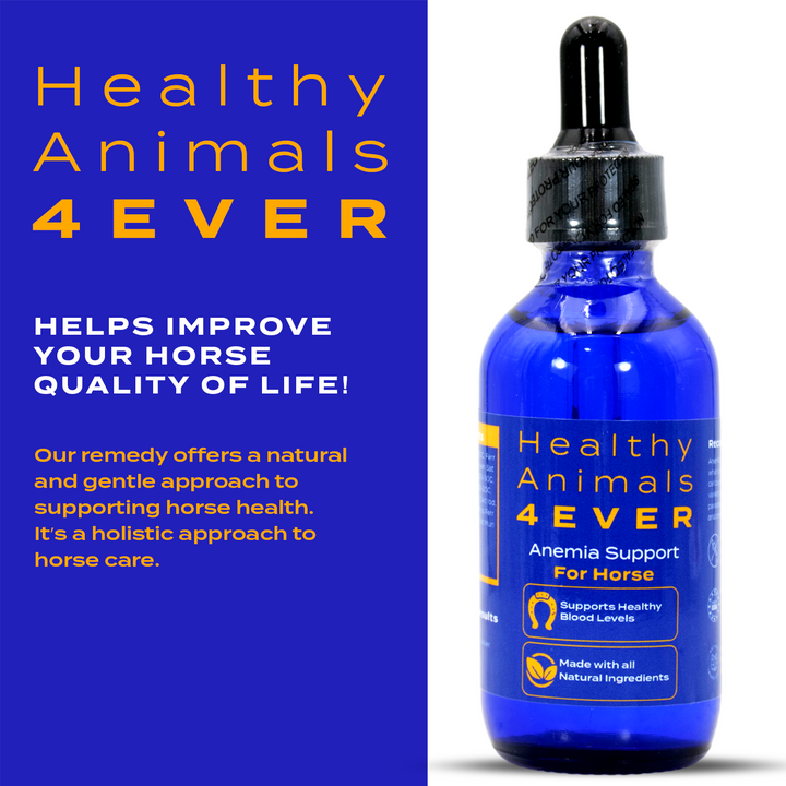 HORSE ANEMIA SUPPORT (Liquid) Triple Pack- Save 30%